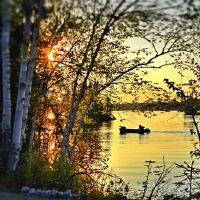 重新启动新生活的句子（选定的55句话）