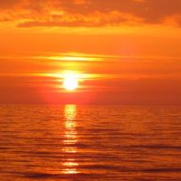 2022年的老虎开始于第一天判刑