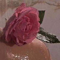 具有斑点霸气的高敏酷句子的签名（选定42）