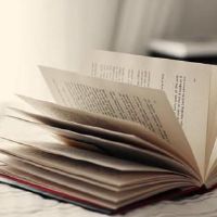 Wen软句适用于复制句子（选定的38句话）