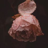 霸气网名四个字很大气的微信昵称 四字霸气的微信昵称大全