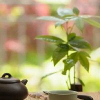 心静了世界就静了的优美句子短句