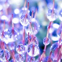 霜降短信温馨祝福语文案