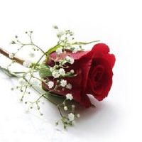 七夕情人节表白祝福短信2021