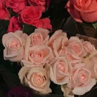 努力向上的励志微信昵称 很干练的充满活力的微信网名