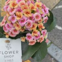 干净简短有意思的微信个性签名 站在世俗里难免容易被遗忘