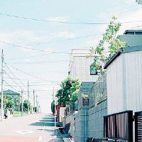 仙气十足的吃鸡名字(精选56个)