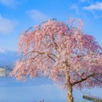 幸福的签名女生个性幸福甜蜜 个性签名幸福的句子