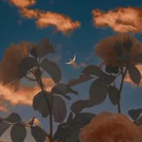 不想努力很颓废的签名 堕落颓废的签名最新(精选41条)