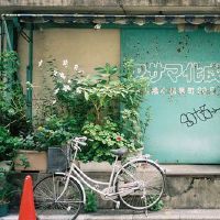 努力付出适合发朋友圈的好句