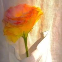 很温暖的微信个性签名简短 愿你温柔又有力量(精选46条)