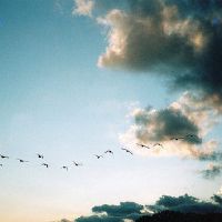 四个字的游戏名字霸气(精选58个)