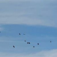 适合天气晴朗发朋友圈的句子