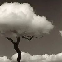 社会现实人情冷暖的句子