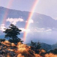 听起来舒心的文案语录 温柔走心不做作的句子(精选78句)