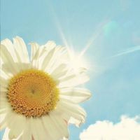 成熟有深度的女生名字(精选73个)