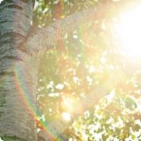 温暖人心的女生网名大全(精选57个)