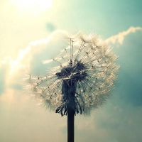 高雅有内涵的微信名字大全(精选81个)