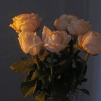 鼓励自己努力的励志签名 让自己努力起来的签名(精选46条)