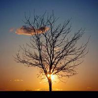 你值得拥有的四个字昵称(精选78个)