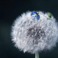 小清新字的微博昵称(精选32个)