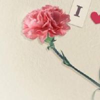 母亲节感恩妈妈的文案短句(精选48句)