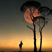 超现实又真实的文案句子(精选99句)