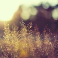 高质量有生活态度短句文案(精选67句)