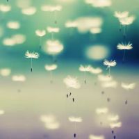 简单好听有意境的昵称(精选101个)