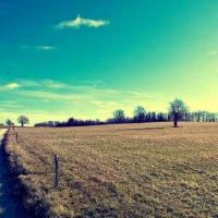 有文采有诗意的网名大全(精选192个)