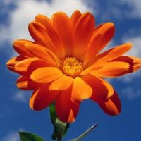 非常意义的生僻字网名精选 jian）