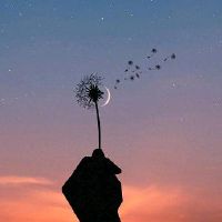 表达自己心累的情绪文案(精选49句)