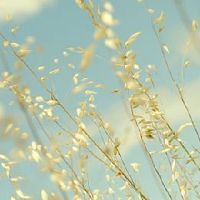 安慰自己的治愈系句子(精选91句)