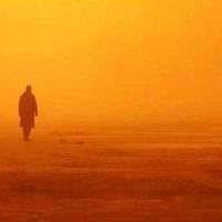 凄凉的网名有点悲伤(精选65个)