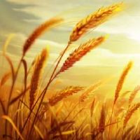 非常好听的七个字网名(精选45个)