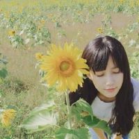 简单幸福的女生网名精选(精选72个)