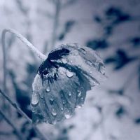 有点丧网抑云风格的伤感网名(精选125个)