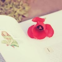 写一段呼吁世界和平的话