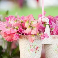 有关控制自己情绪的经典语句(精选51句)