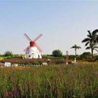 愿疫情早日结束的朋友圈怎么发(精选39句)