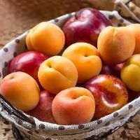 水果网名 带水果的网名大全