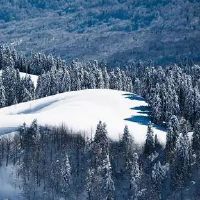 冬天让人感觉温暖的文案(精选47句)