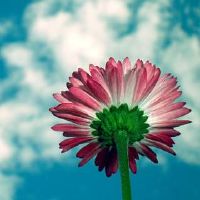 比较好的微信号id号大全(精选188个)