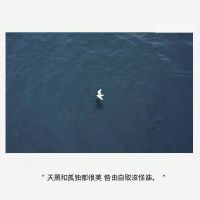 失恋放弃爱情的伤感昵称大全(精选71个)