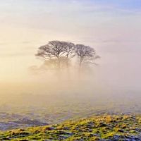 浪漫有诗意的情侣名字(精选43个)