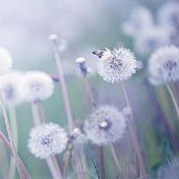 深受喜爱的字昵称精选(精选37个)