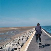 简单带符号的男生游戏名字(精选44个)