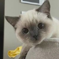 搞笑有趣的昵称 一看就想笑的网名(精选89个)