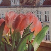 网易云伤感文案热评 网易云扎心的句子(精选98句)