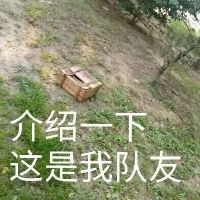 吸引人的吃鸡又菜又皮的名字(精选108个)